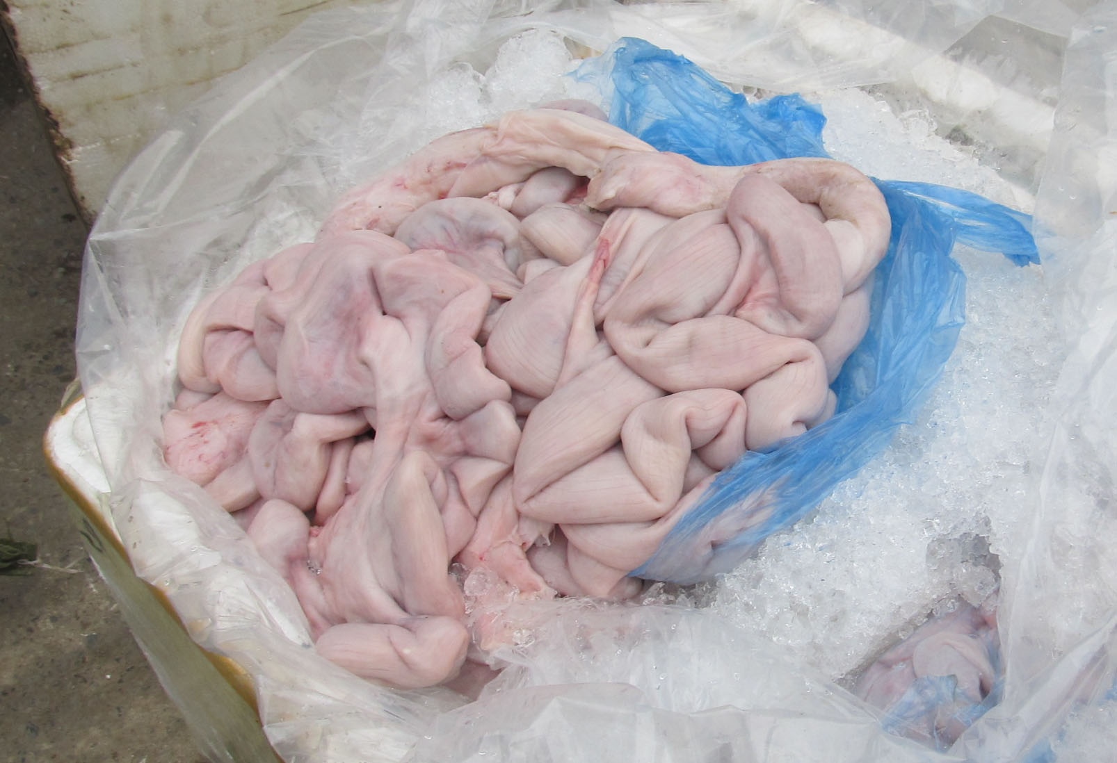 Canh sat phat hien 1 tan long lon hoi thoi hinh anh