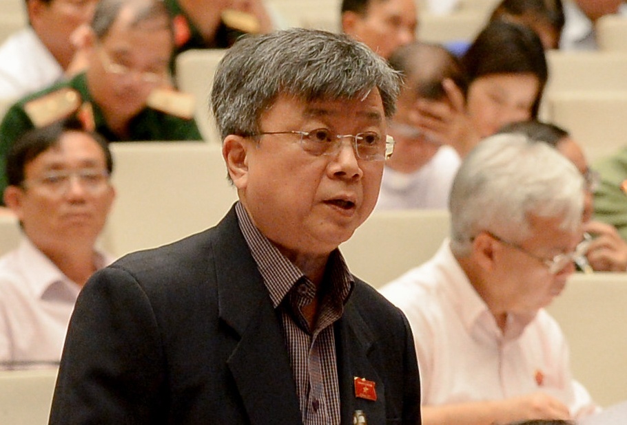 Dai bieu de nghi Quoc hoi tra no Luat bieu tinh cho dan hinh anh