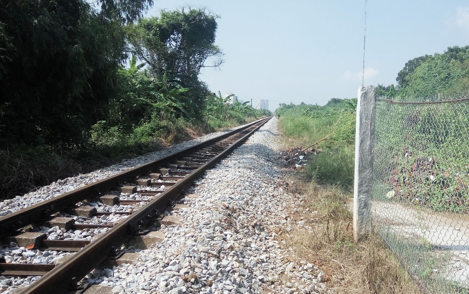 Chặt chân tay lấy tiền bảo hiểm ảnh 1 Chat chan tay lay tien bao hiem anh 1