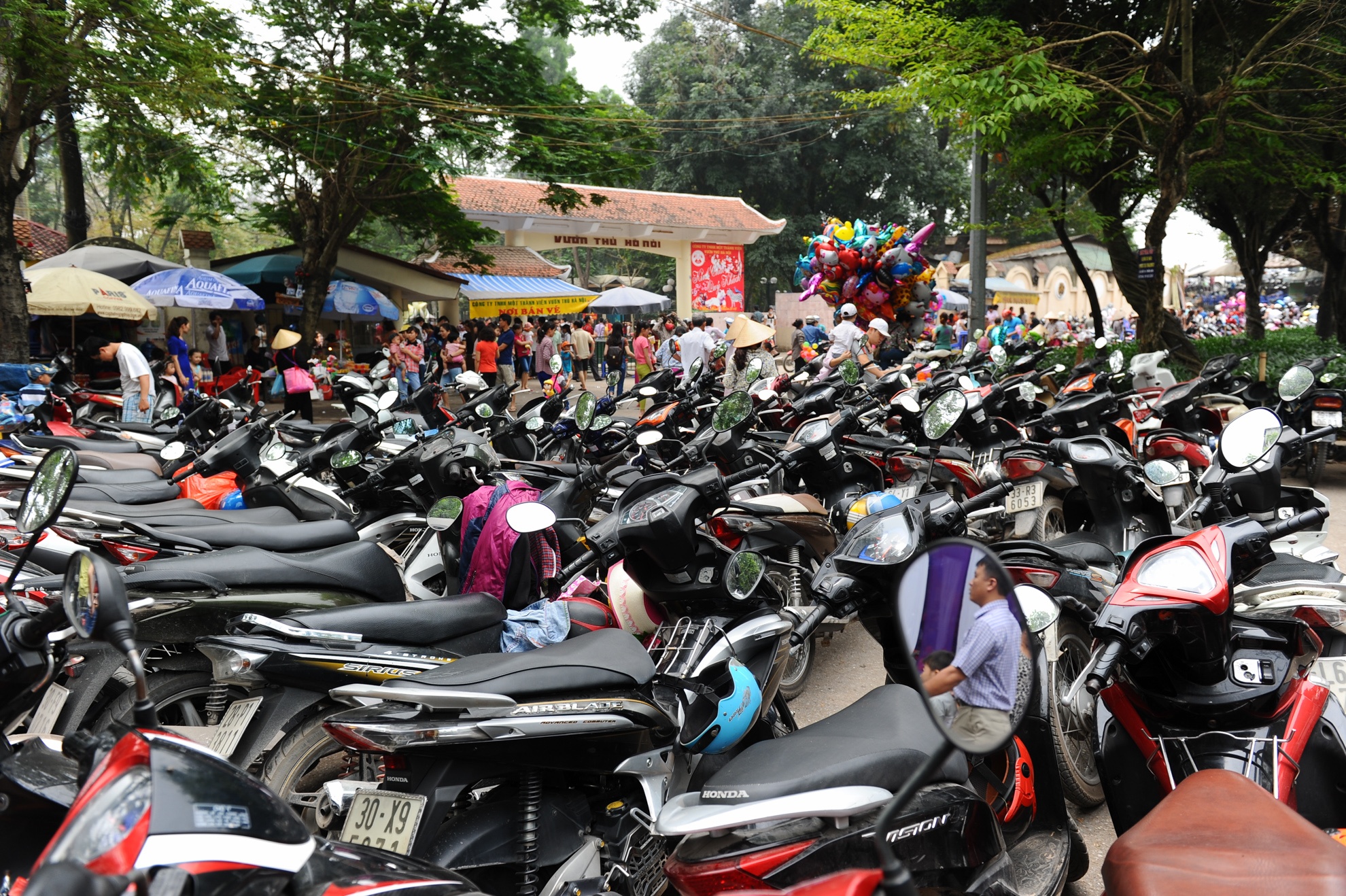 de xe lan chiem duong anh 1