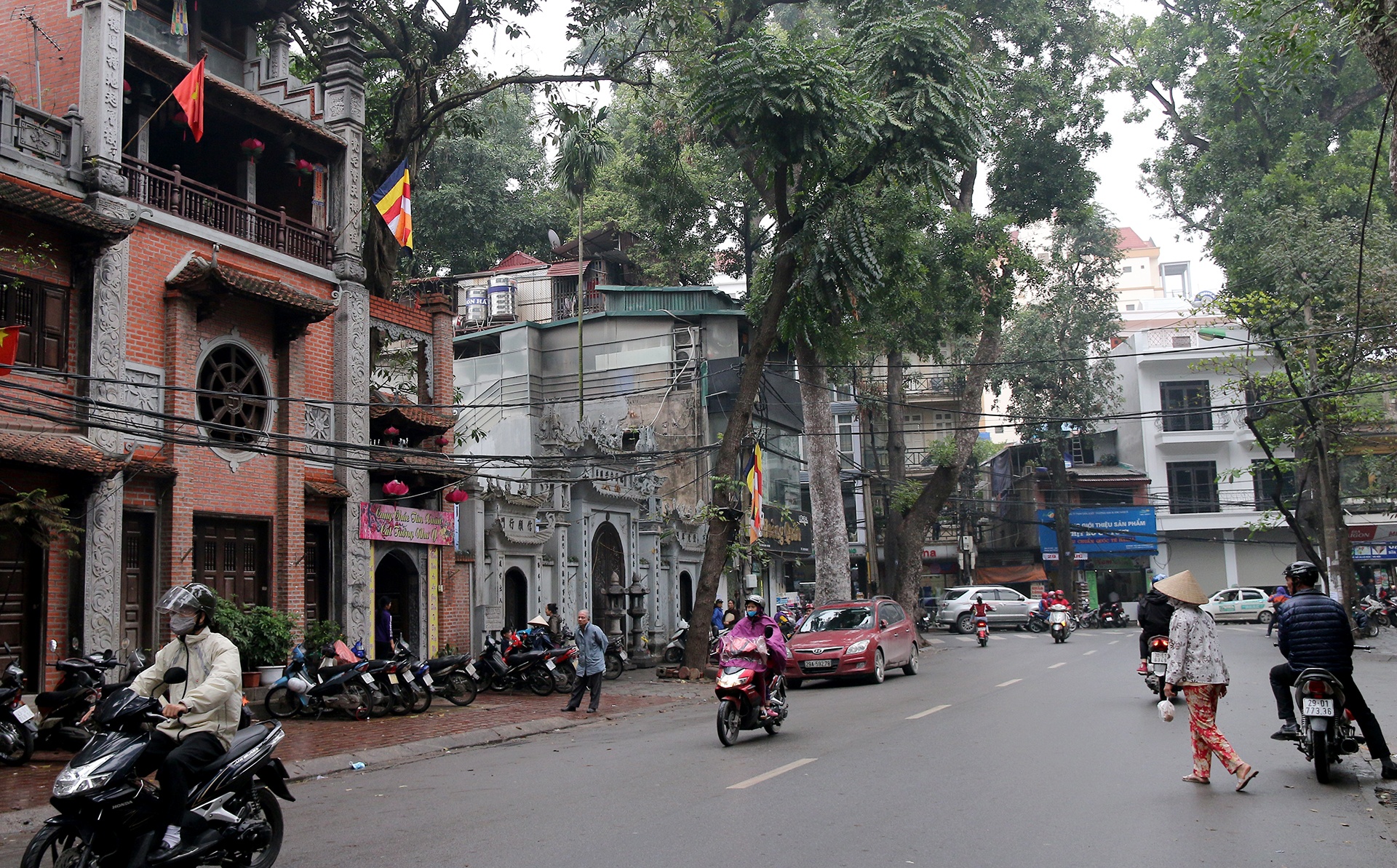 Gianh lai via he cho Hom anh 7