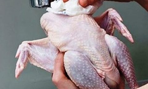 Cướp con gà ảnh 1 Cuop con ga anh 1
