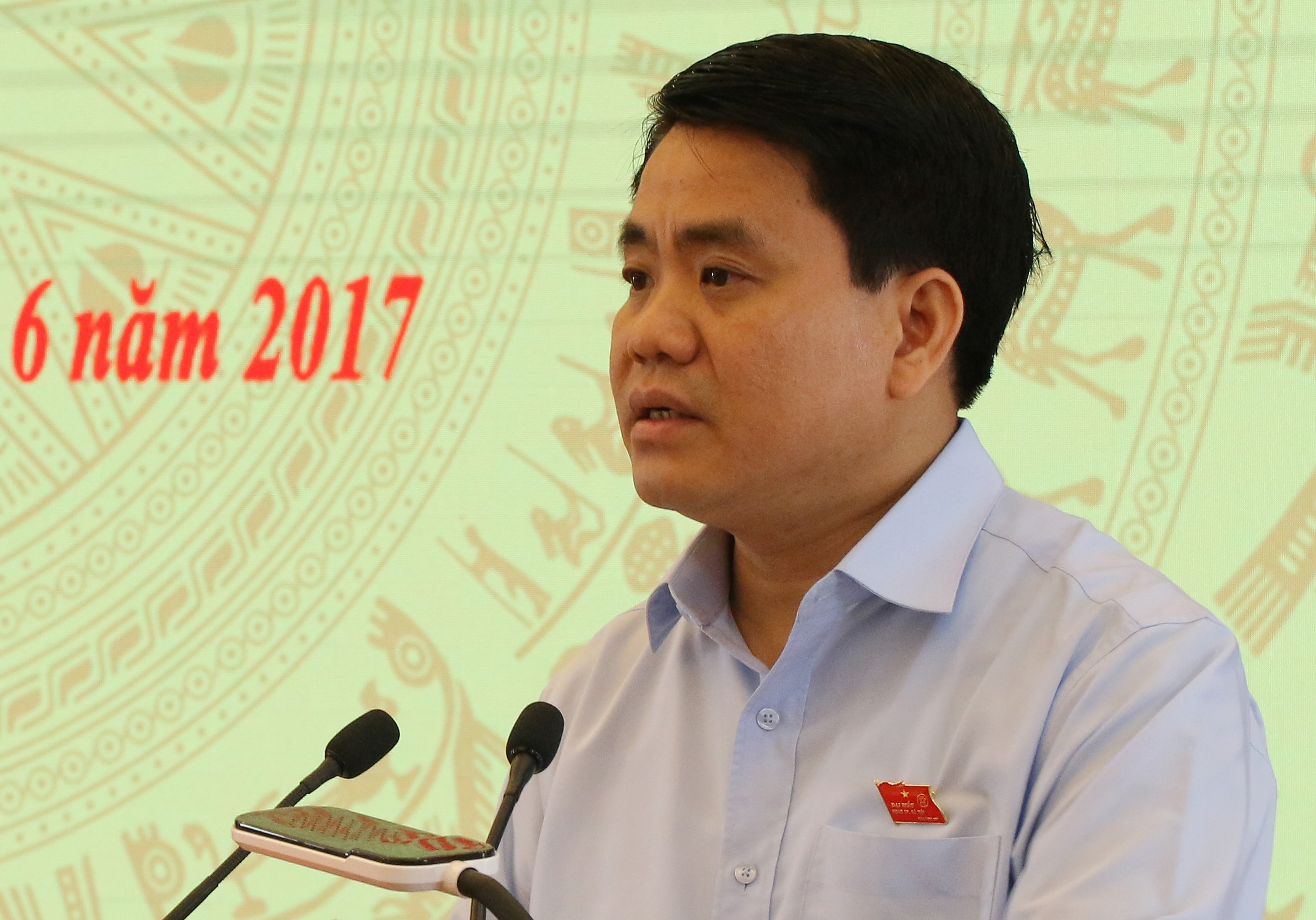 Chu tich Ha Noi: 'Khong the trong lai xa cu co thu tren cac tuyen pho' hinh anh