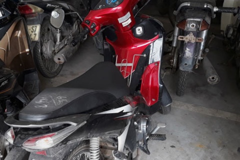 Hành trình phục kích sói già đơn độc ảnh 2 Hanh trinh phuc kich soi gia don doc anh 2
