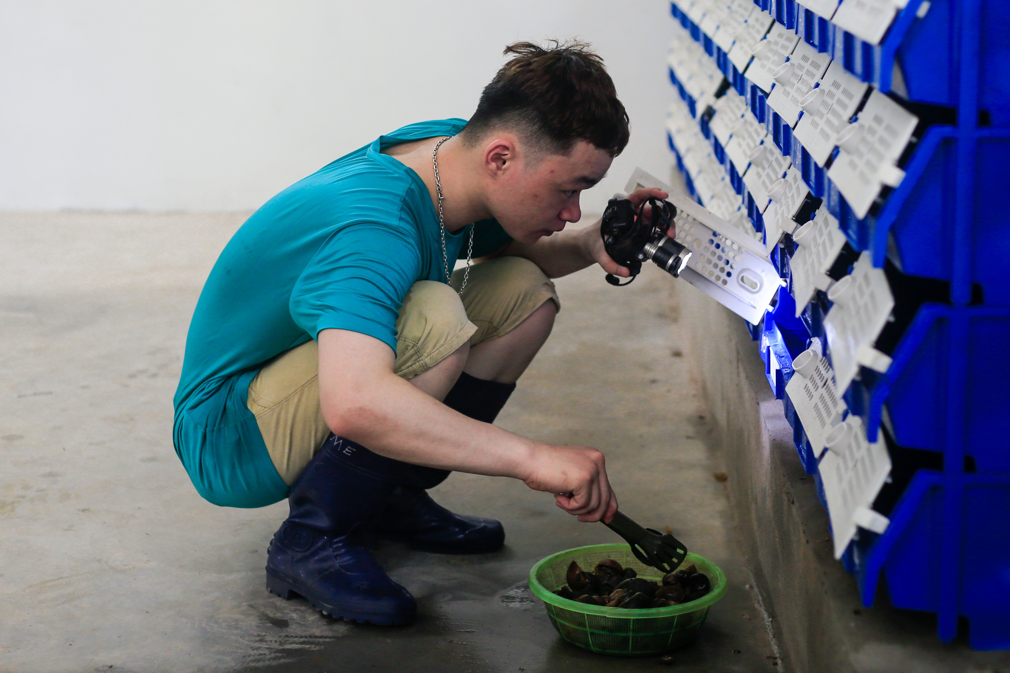 nuoi cua bien trong nha anh 9