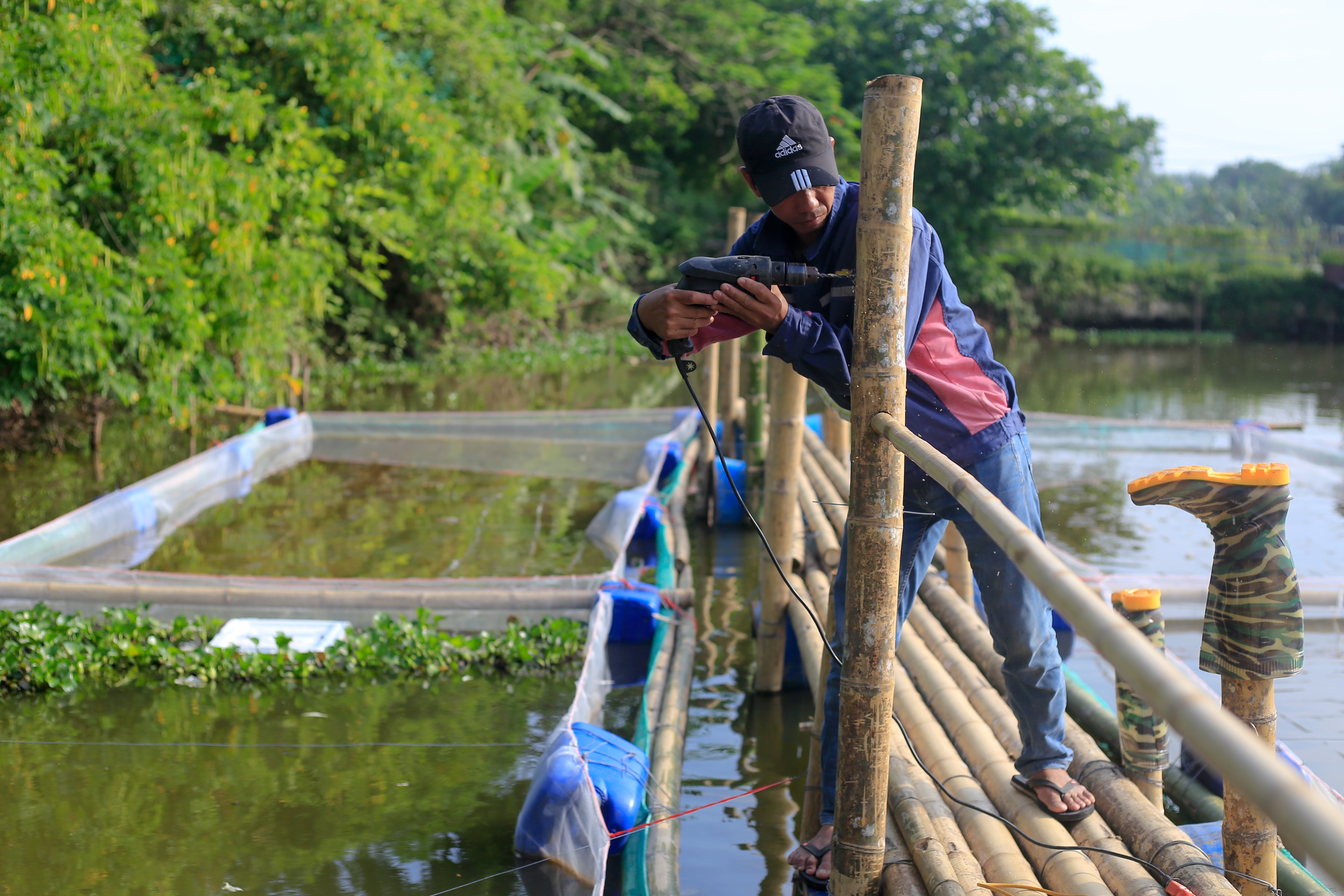 nuoi cua bien trong nha anh 10