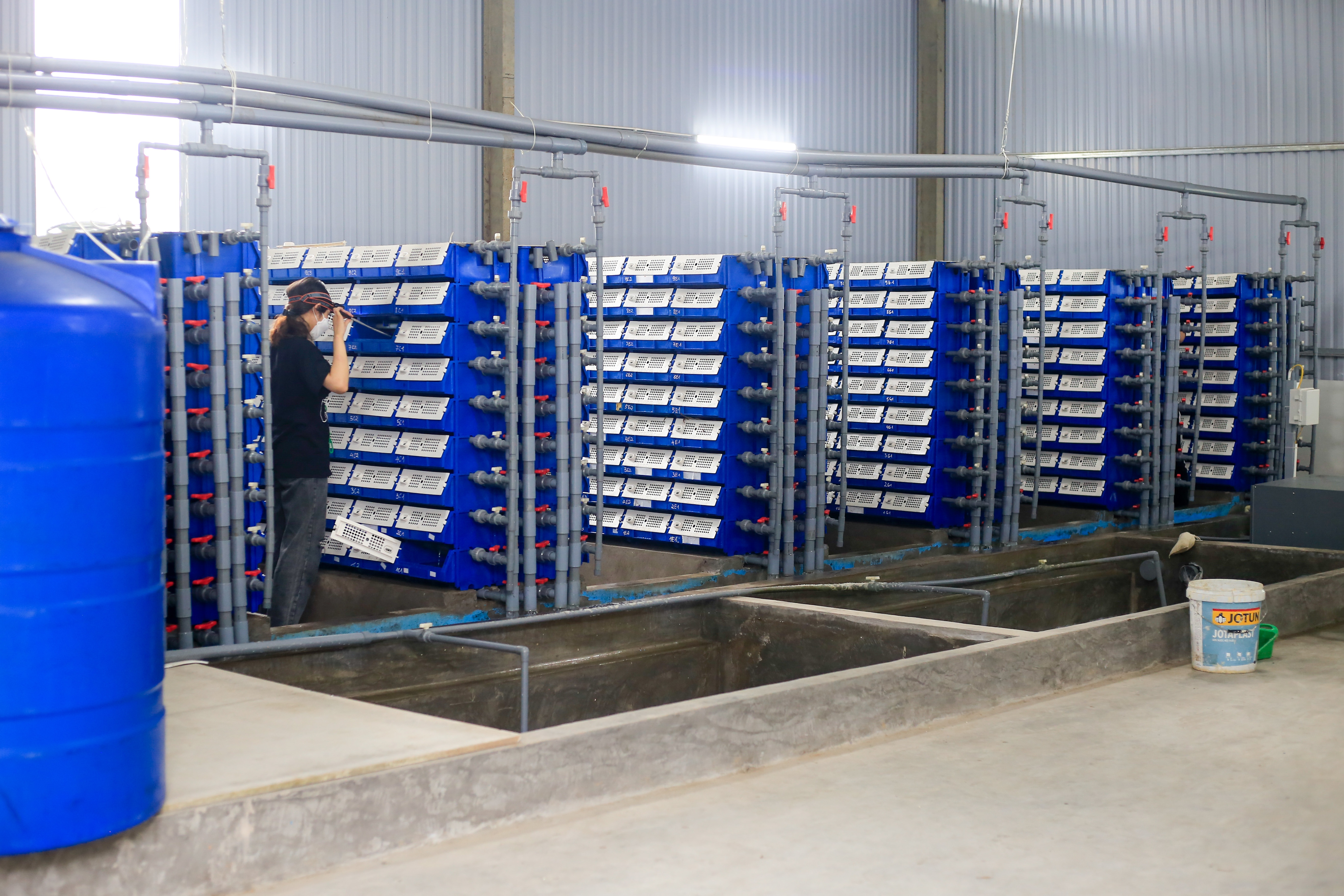 nuoi cua bien trong nha anh 1