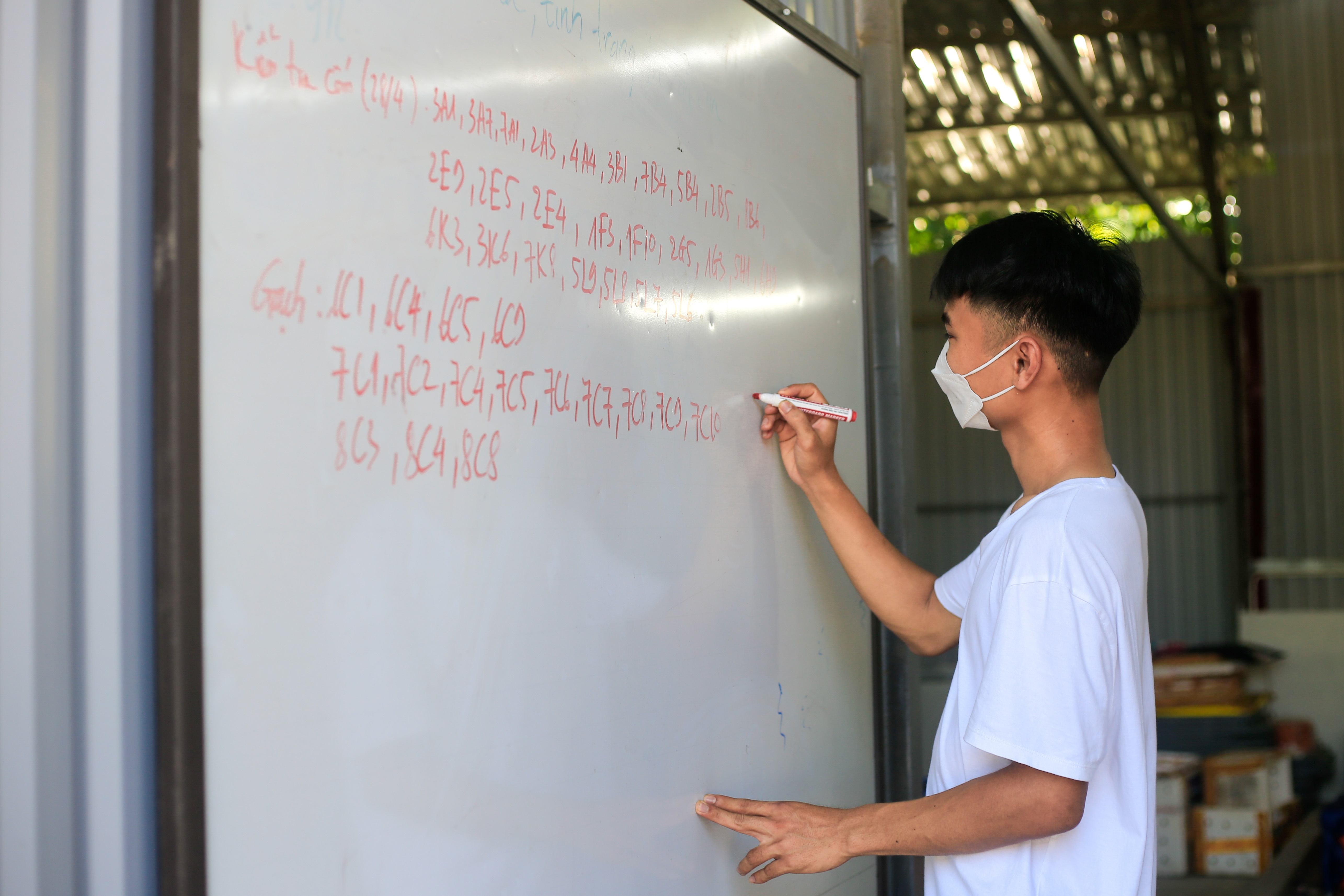 nuoi cua bien trong nha anh 2