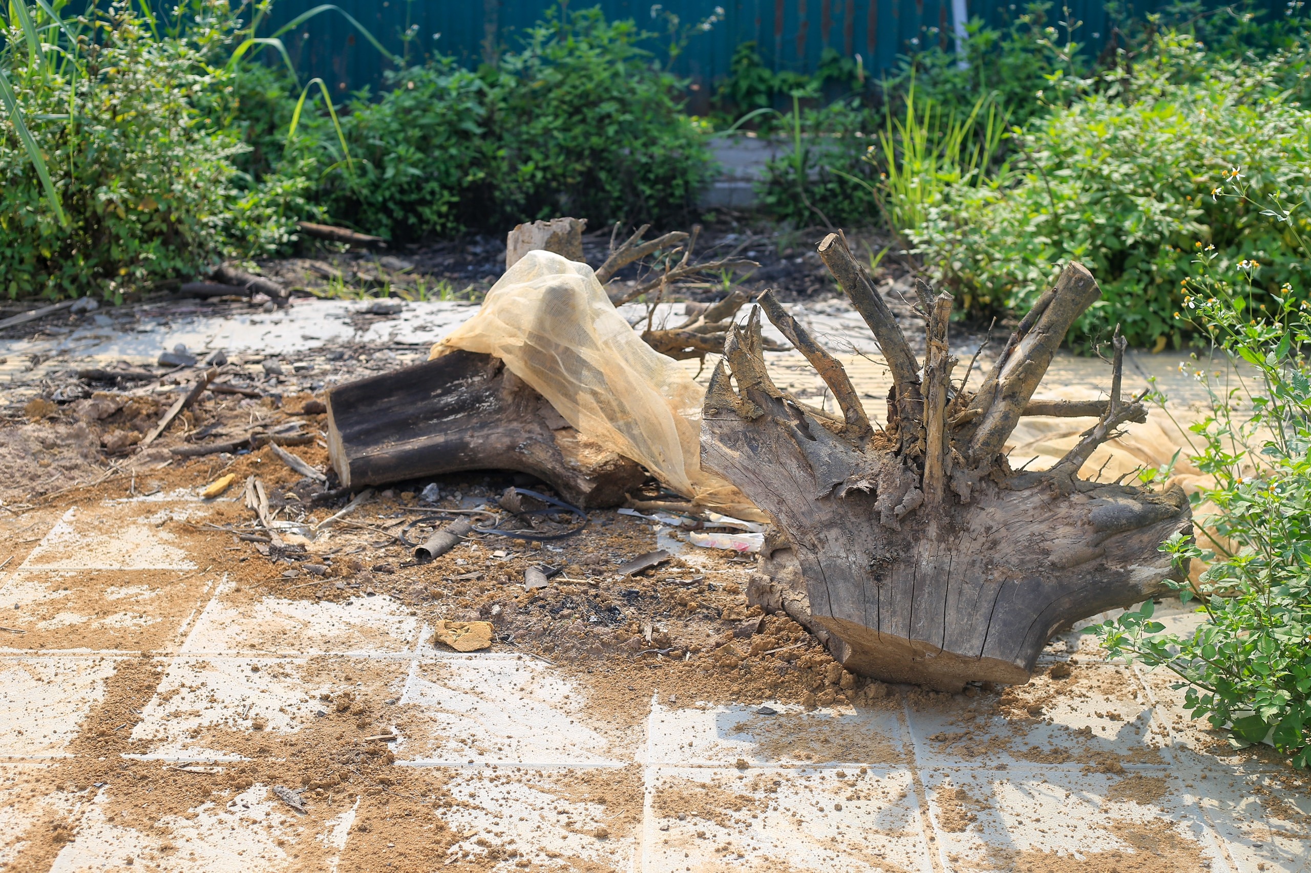 công viên, hồ điều hoà chậm tiến độ ảnh 5 cong vien, ho dieu hoa cham tien do anh 5