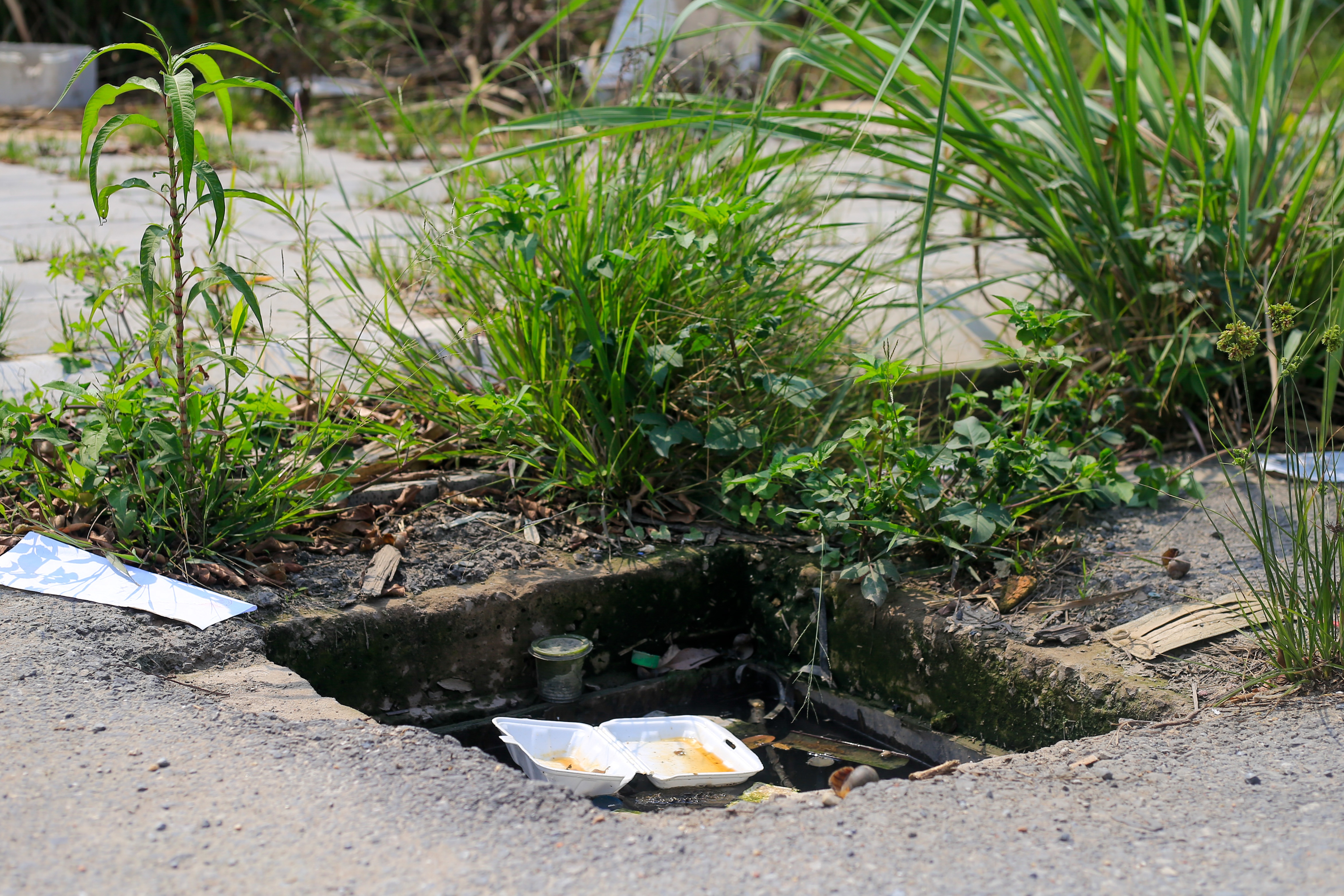 cong vien,  ho dieu hoa cham tien do anh 9