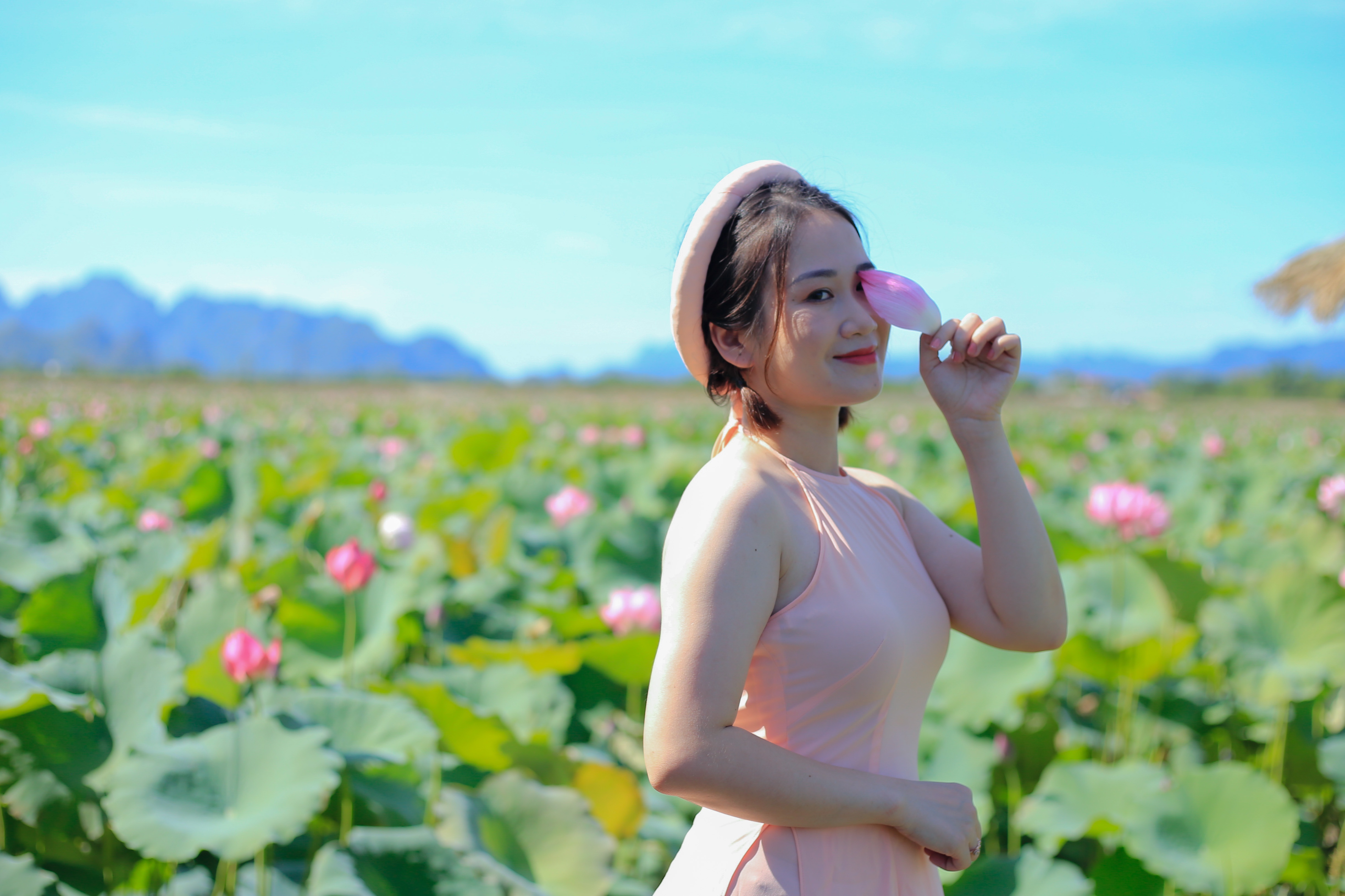 Nong 38 do C, gioi tre van do di chup anh o dam sen hinh anh