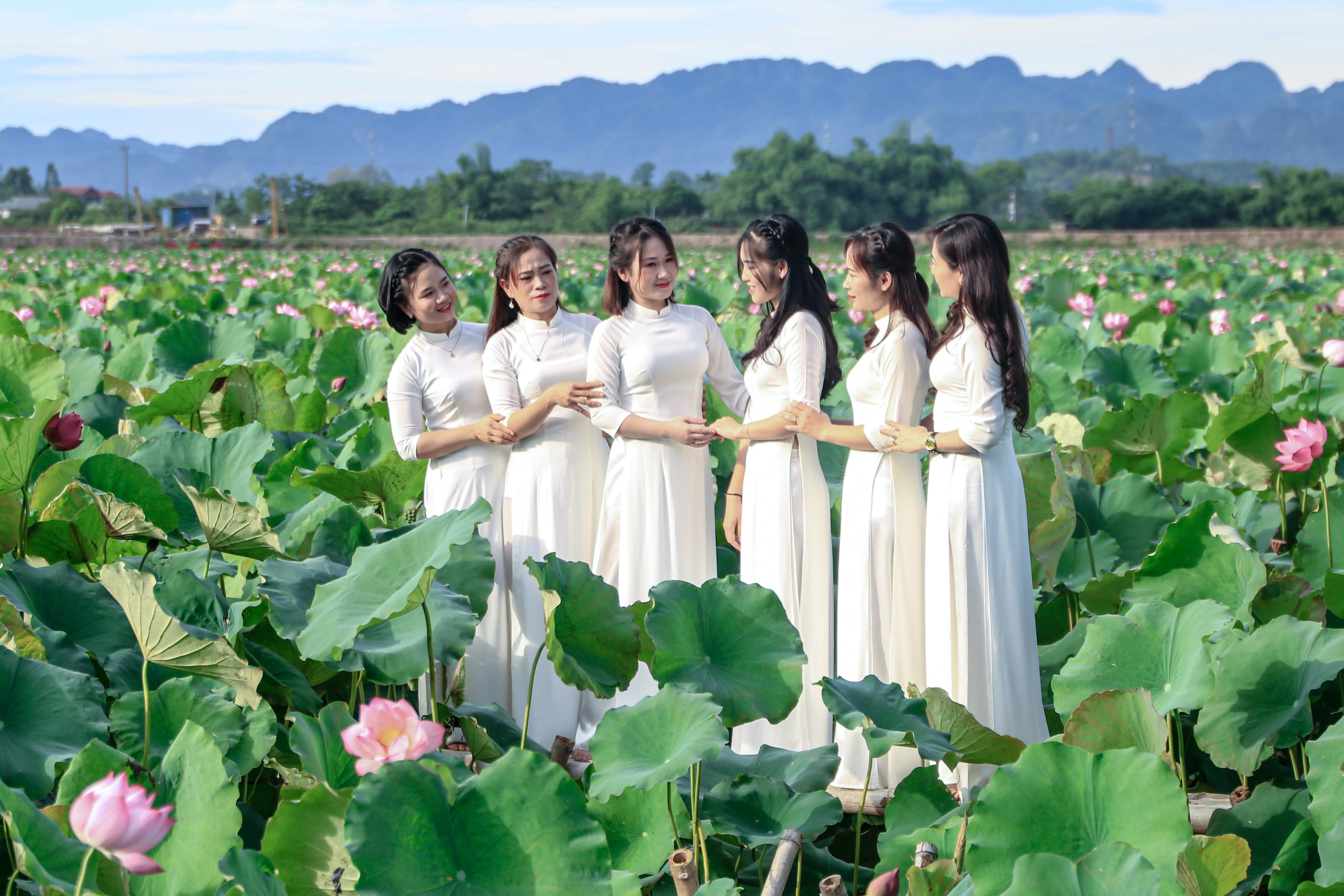 gioi tre check-in dam sen anh 5