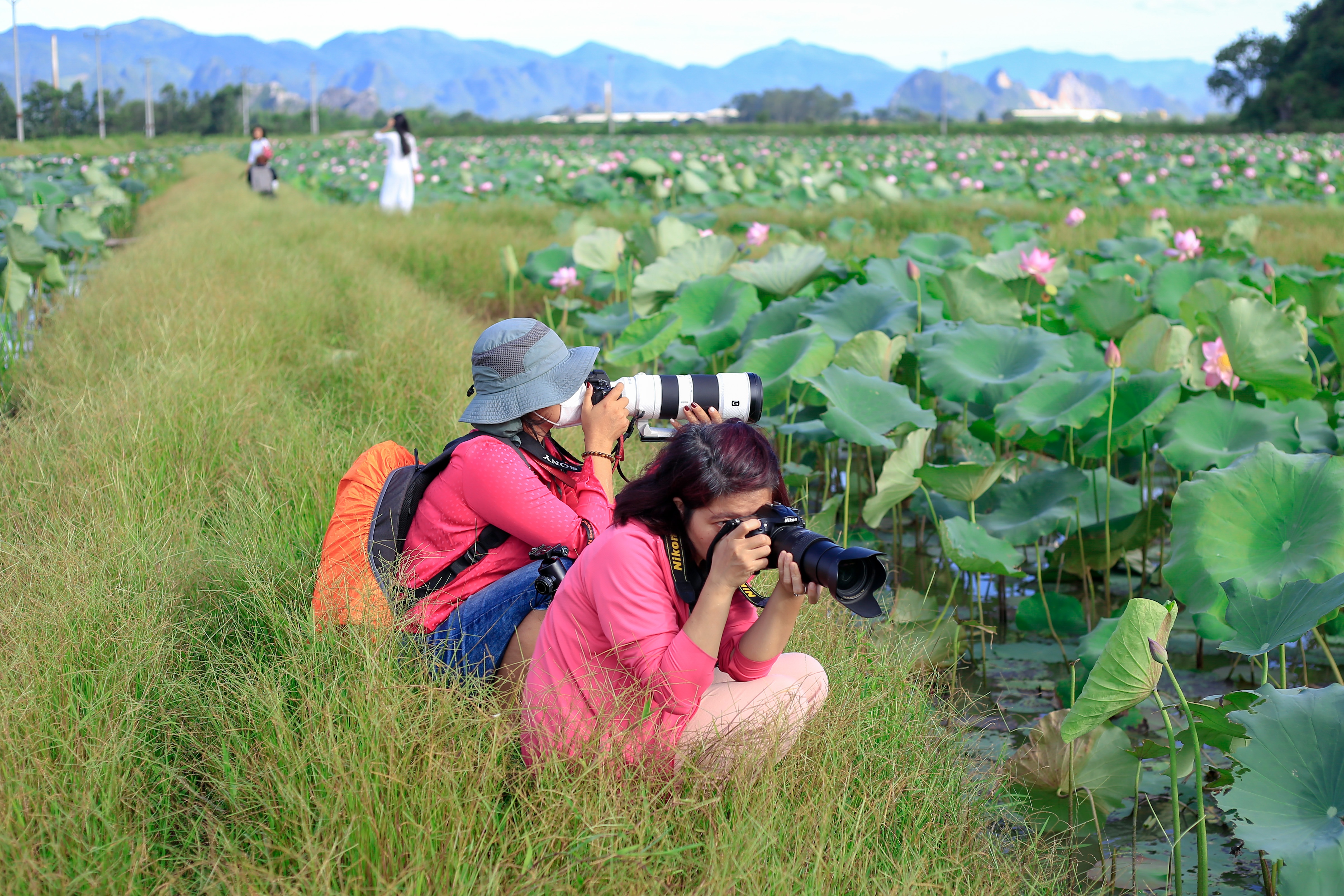 gioi tre check-in dam sen anh 8