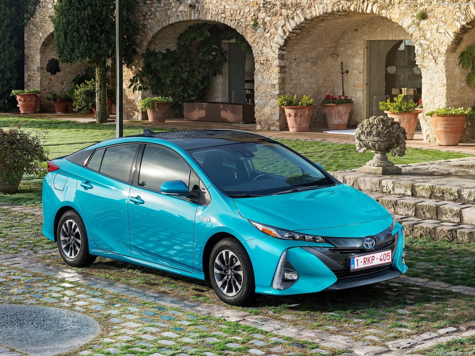 dong co dot trong anh 2