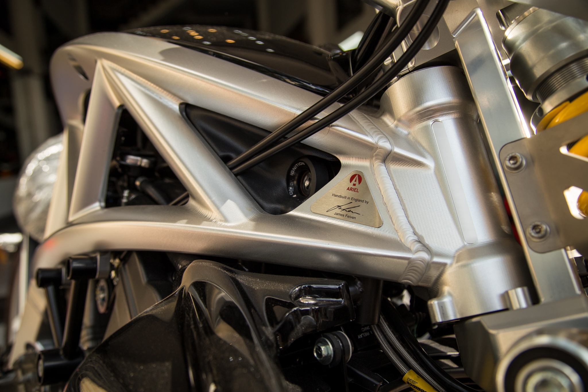 Ariel Ace tai Viet Nam anh 4