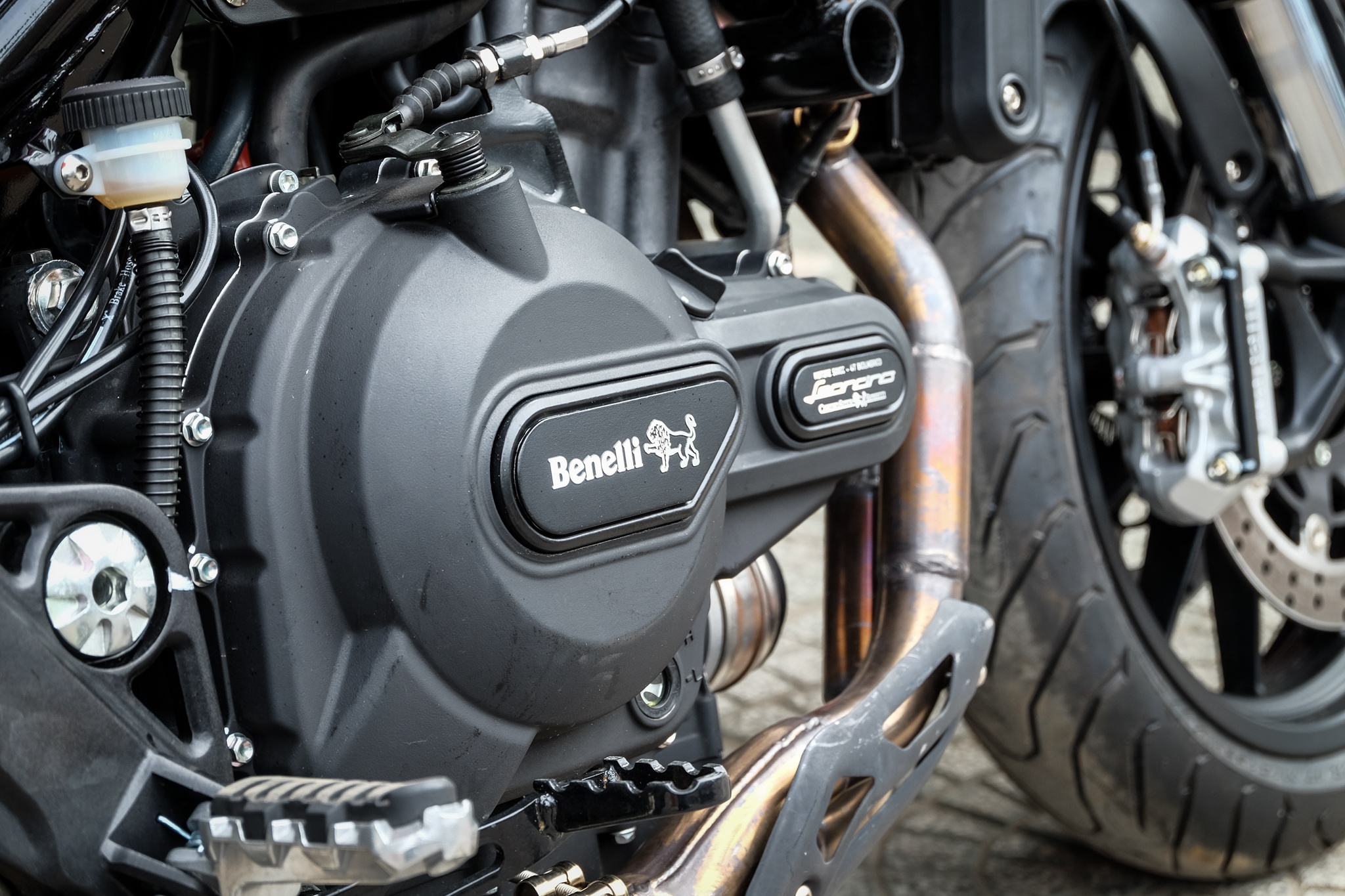 Benelli Leoncino ảnh 8 Benelli Leoncino anh 8