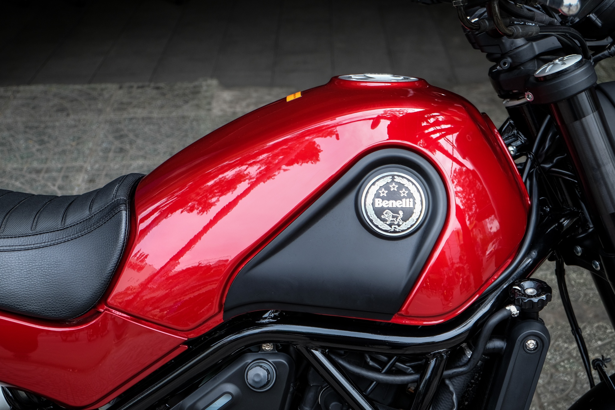 Benelli Leoncino ảnh 6 Benelli Leoncino anh 6