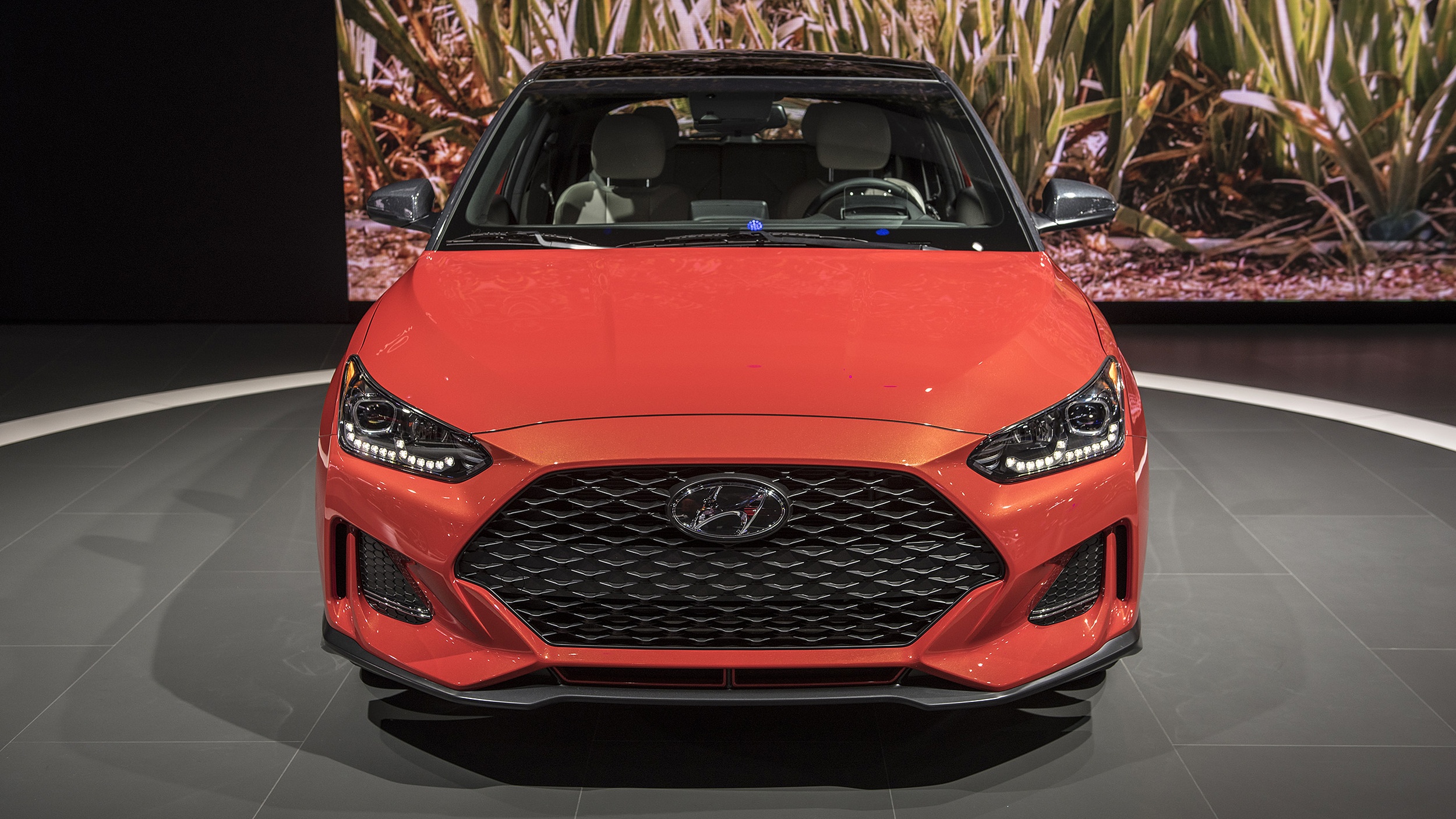 Hyundai Veloster 2019 ảnh 2 Hyundai Veloster 2019 anh 2
