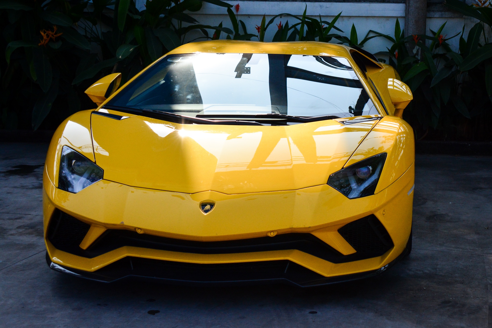 siêu xe Việt Nam ảnh 6 sieu xe Viet Nam anh 6