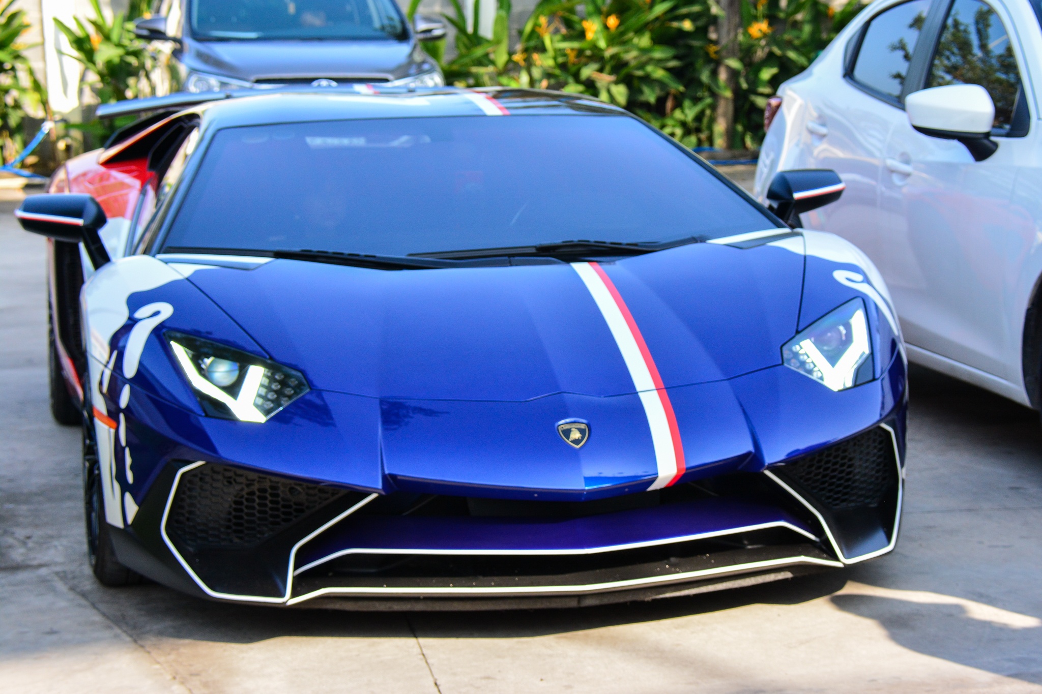 siêu xe Việt Nam ảnh 8 sieu xe Viet Nam anh 8