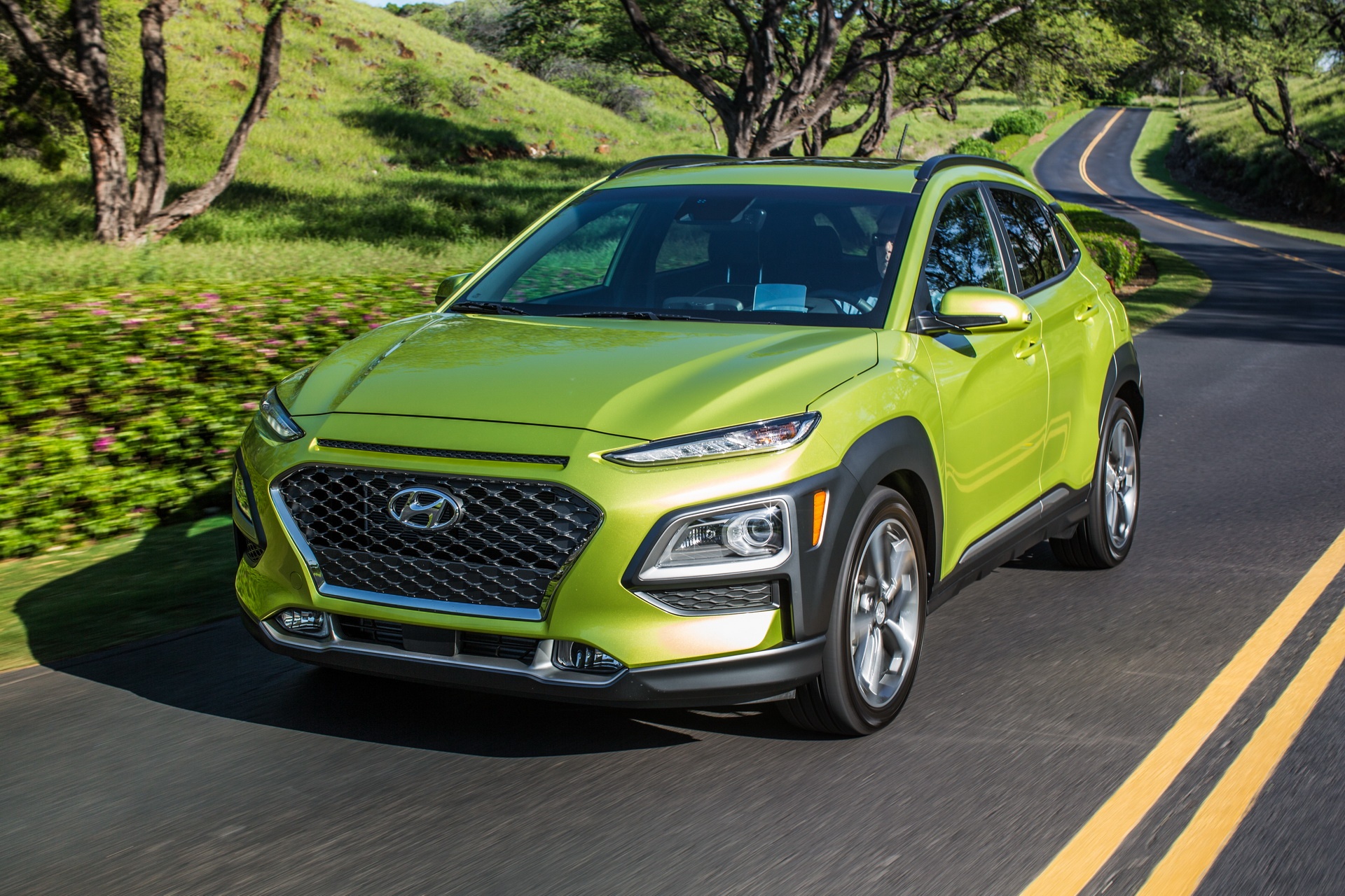 Hyundai Kona ảnh 1 Hyundai Kona anh 1