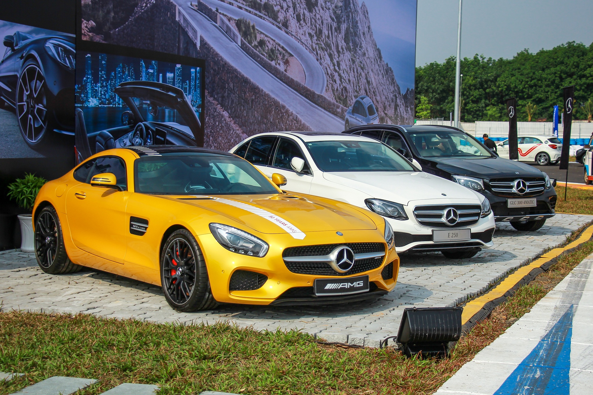 doanh so Mercedes Viet Nam anh 3