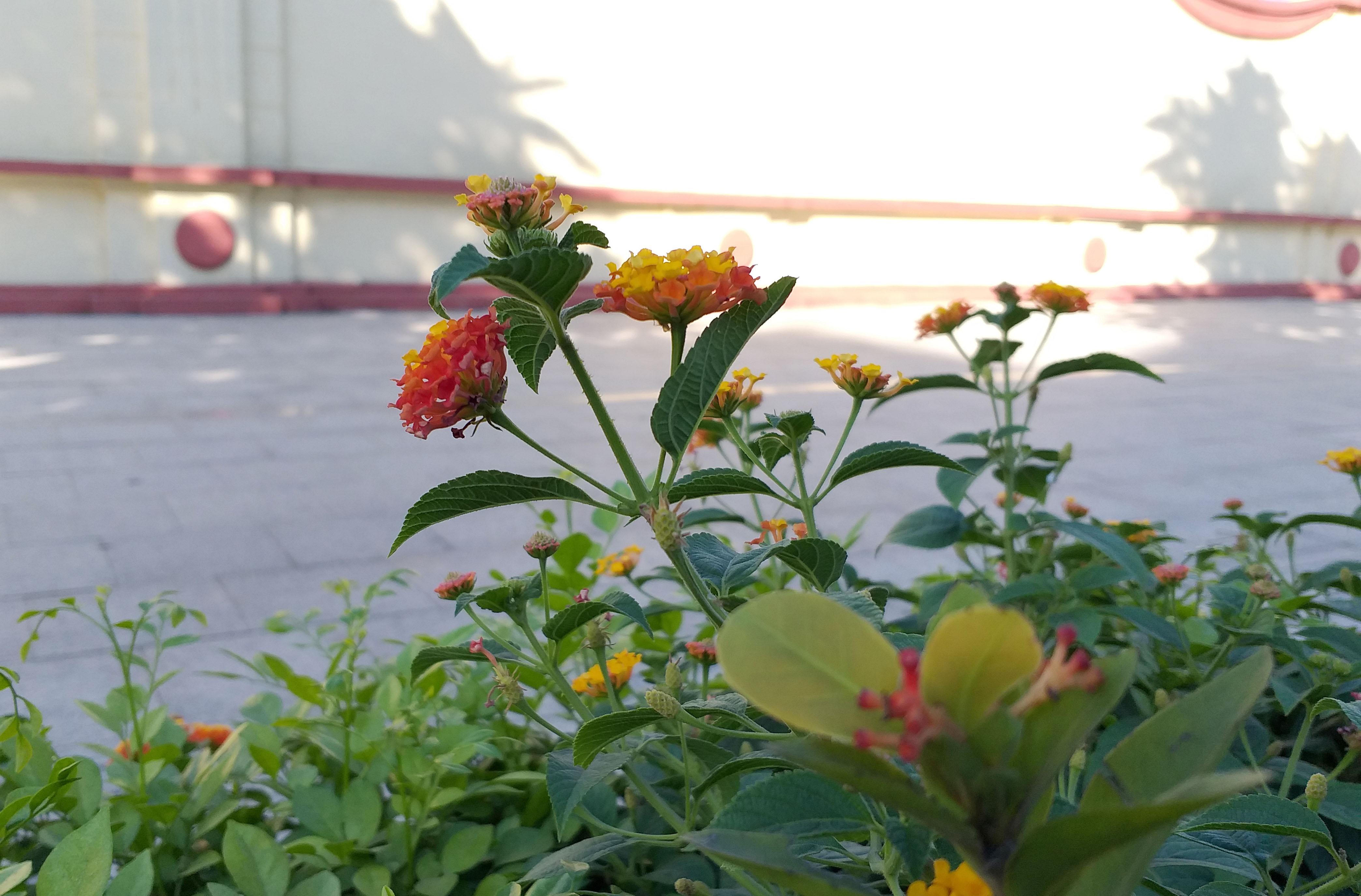 Đánh giá chi tiết Samsung Galaxy A6+ ảnh 6 Danh gia chi tiet Samsung Galaxy A6+ anh 6