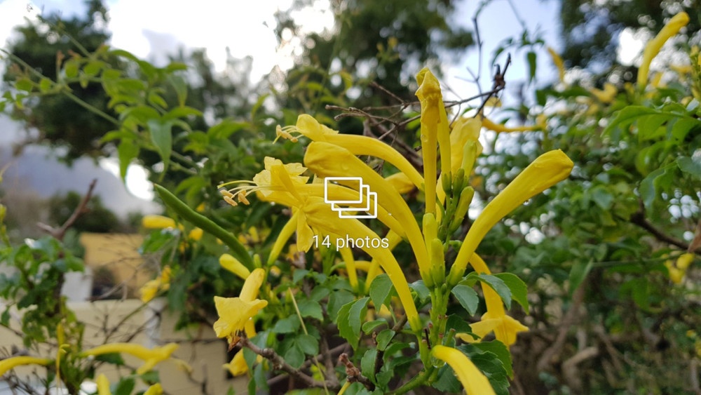 meo chup anh dep tren dien thoai anh 2