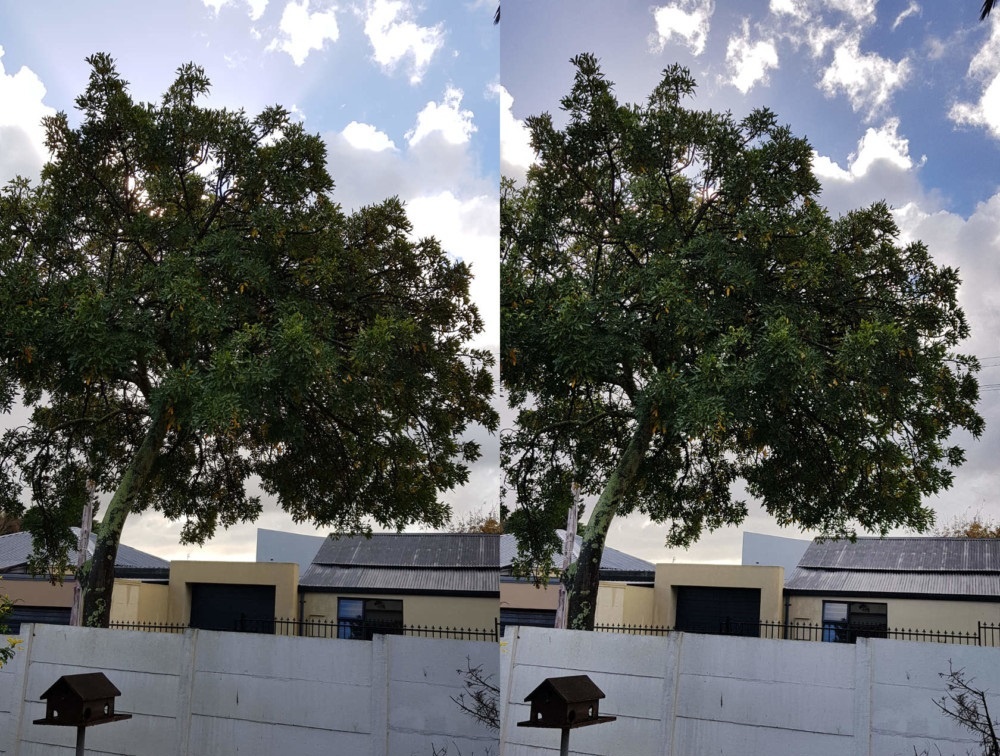 meo chup anh dep tren dien thoai anh 8