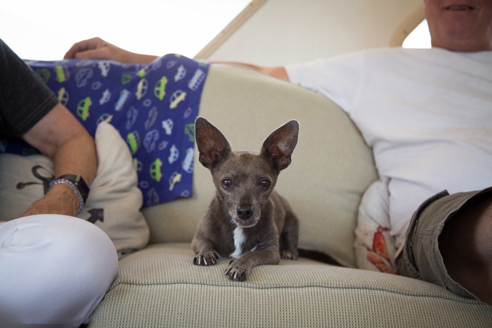 cuoc song tren thuyen o San Francisco anh 6