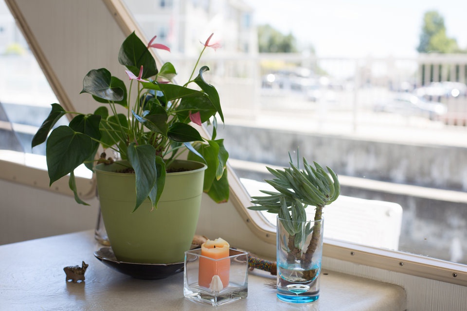 cuoc song tren thuyen o San Francisco anh 7