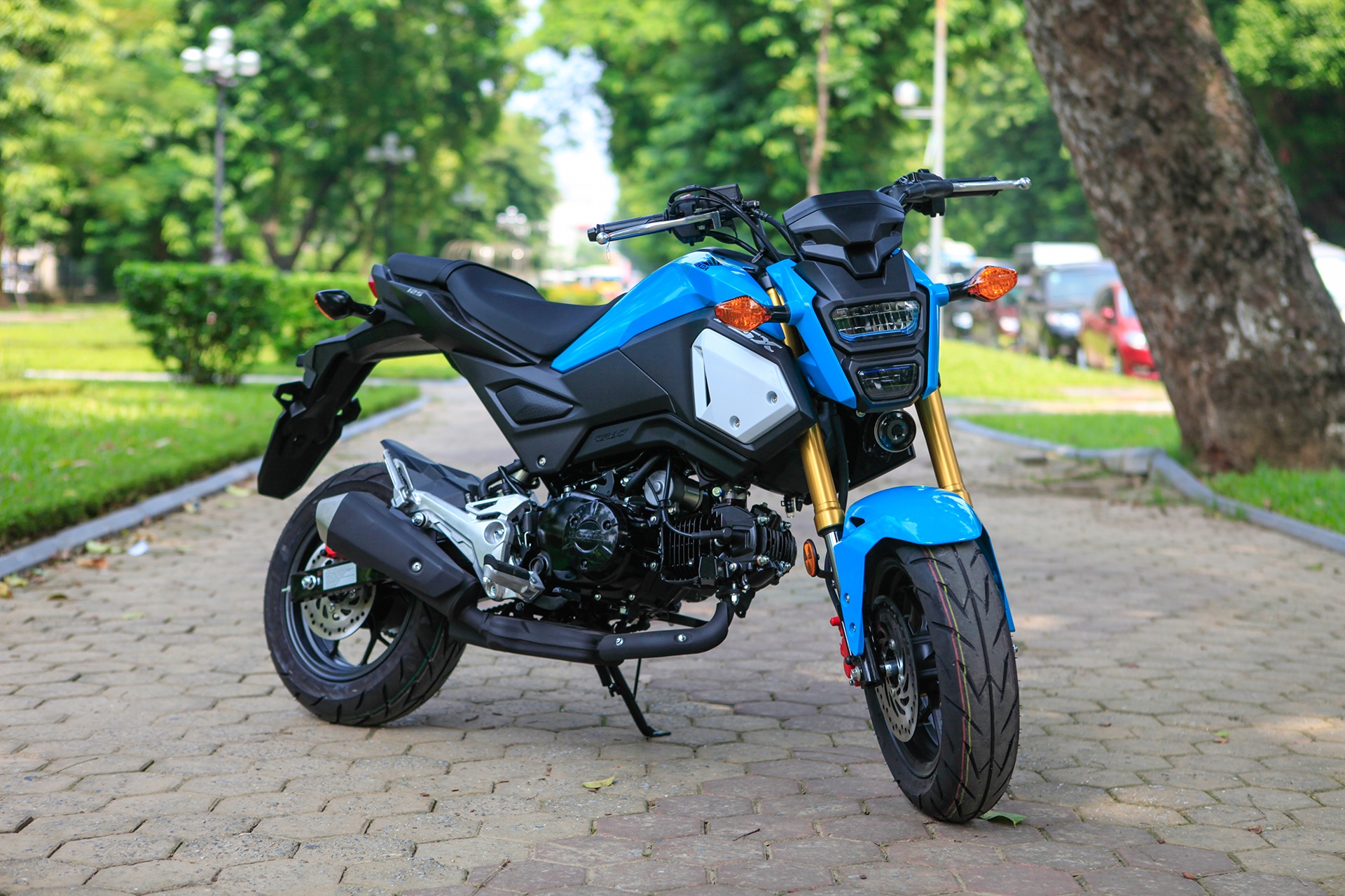 Chi tiet Honda MSX 125 cc 2018 nhap Thai voi gia ban 49,9 trieu dong hinh anh