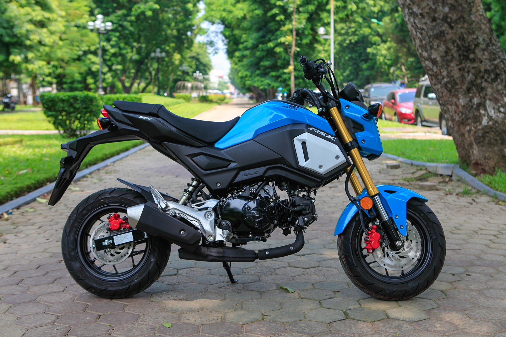 Chi tiet Honda MSX 125cc 2018 anh 5