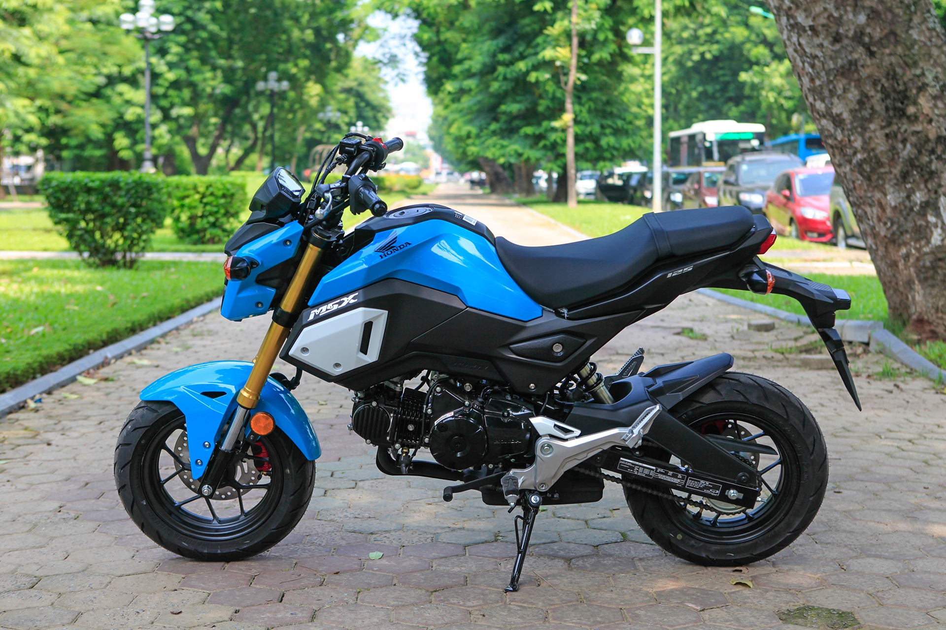 Chi tiet Honda MSX 125cc 2018 anh 6