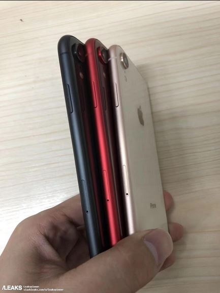 iPhone 6, 1 inch mau do anh 2