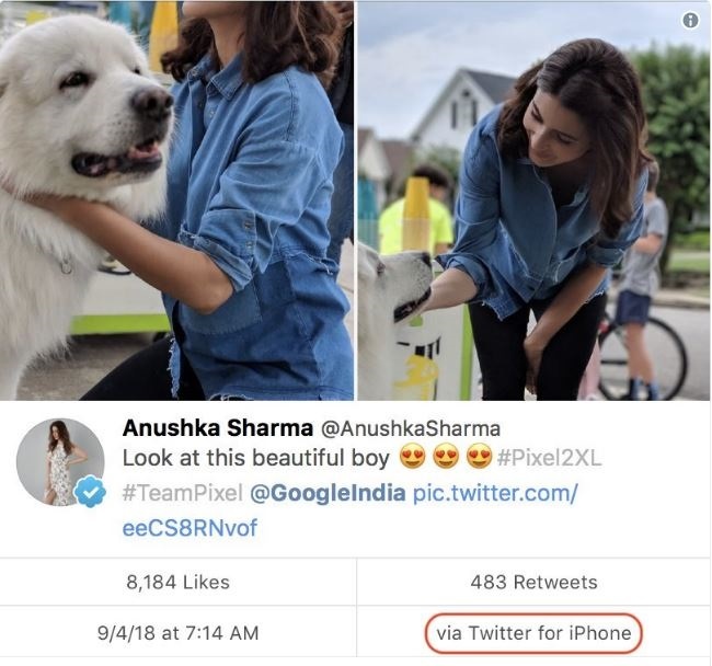 su dung iPhone dang quang cao Pixel 2 Xl anh 1