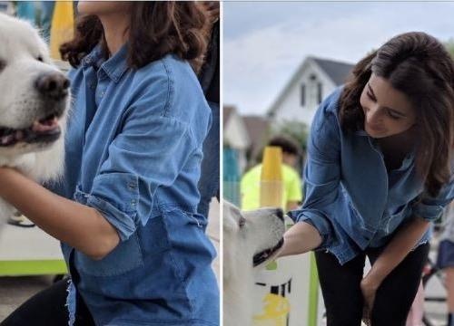 Quang cao Pixel 2, sao nu An Do dung iPhone de dang len Twitter hinh anh