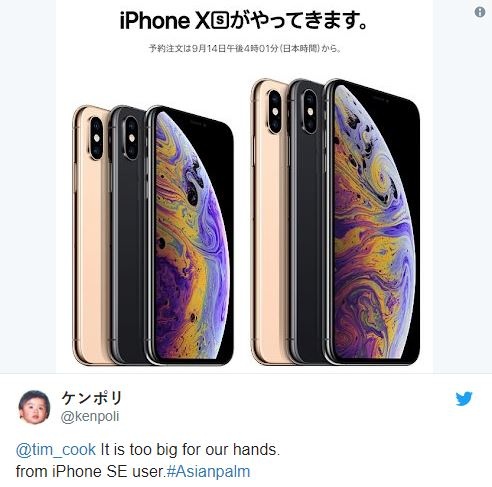 iPhone man hinh lon gay kho khan cho phu nu anh 2