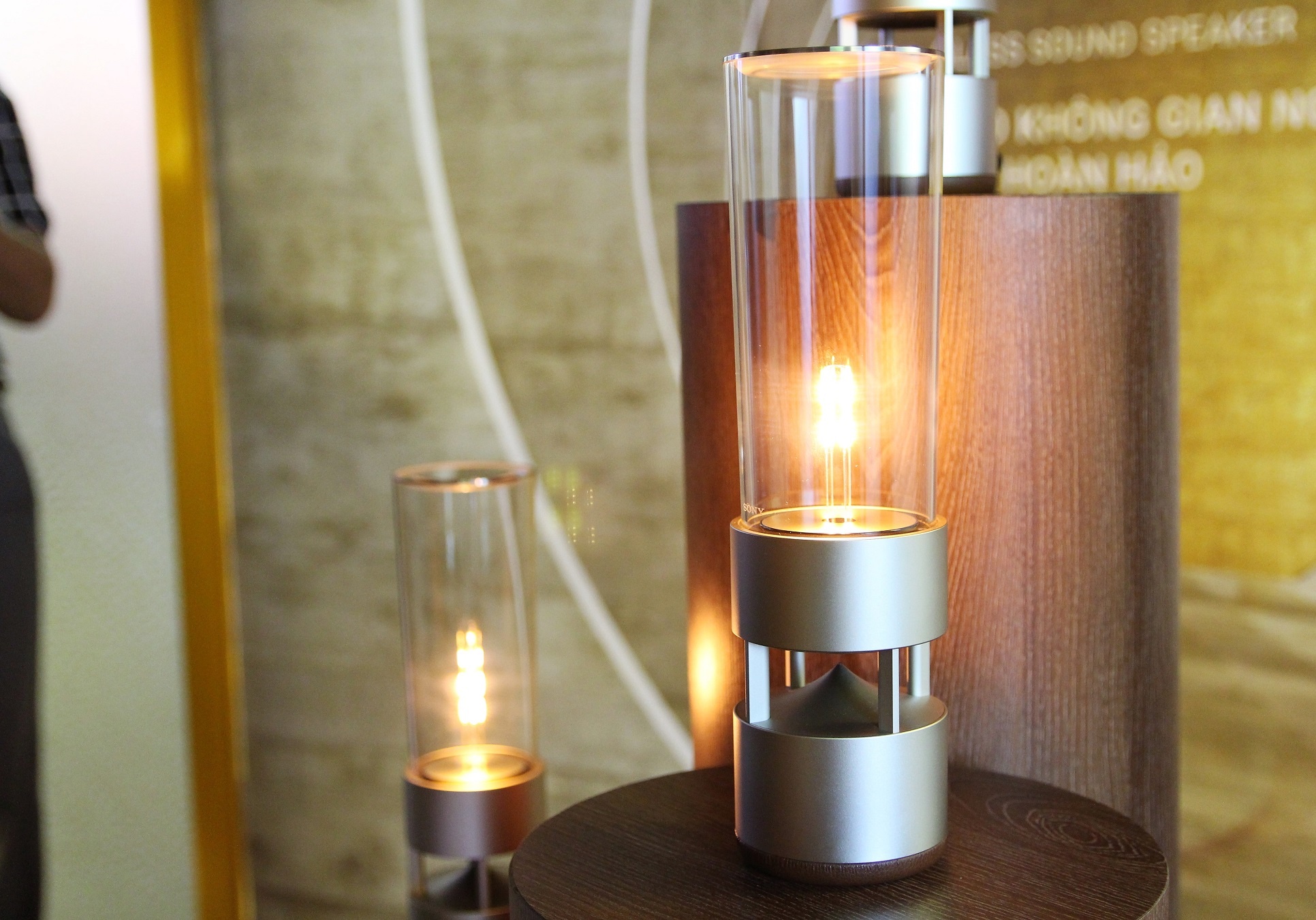 Sony Show 2018 anh 8