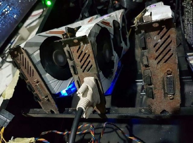 co nen mua VGA trau cay anh 3