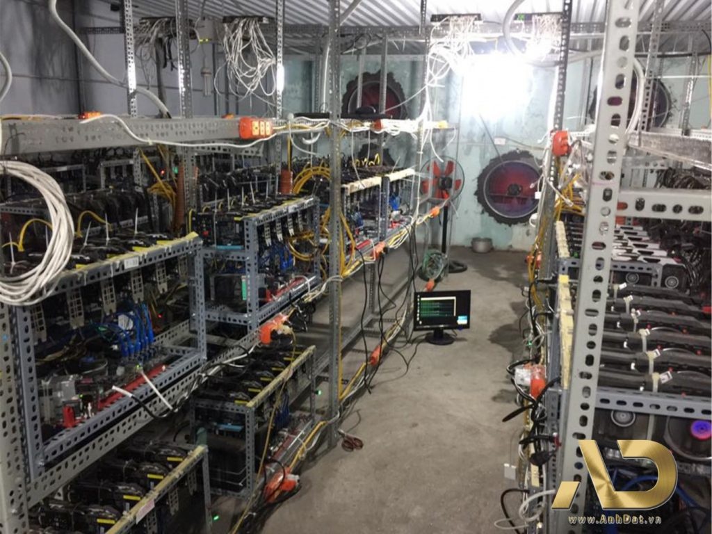 co nen mua VGA trau cay anh 2