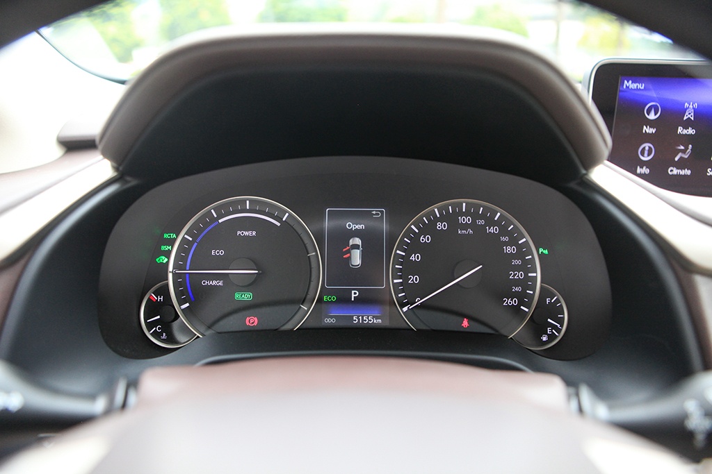 Chi tiet Lexus RX450h anh 10