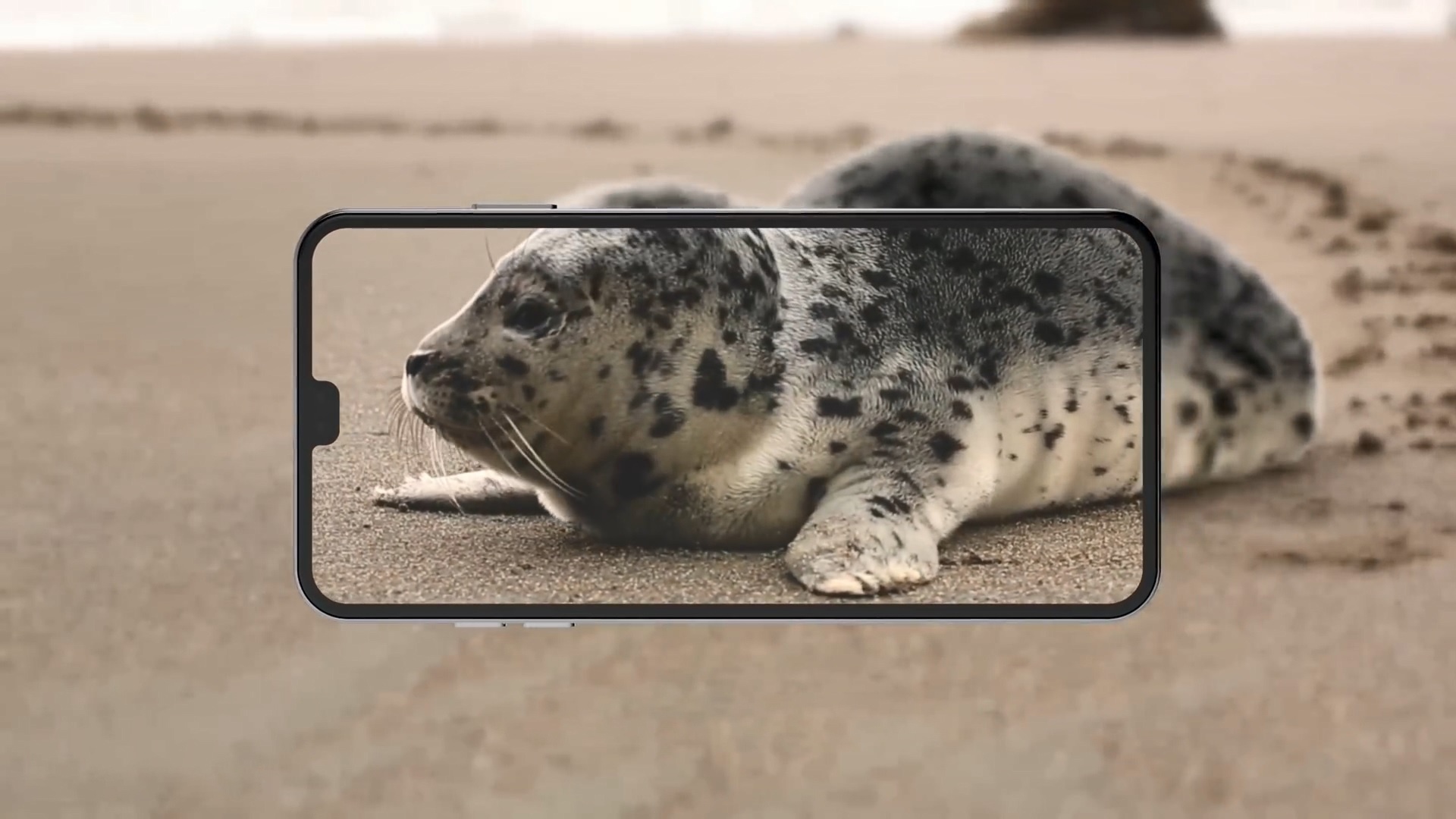 Ban dung iPod Touch 7 voi thiet ke tuong tu iPhone X hinh anh