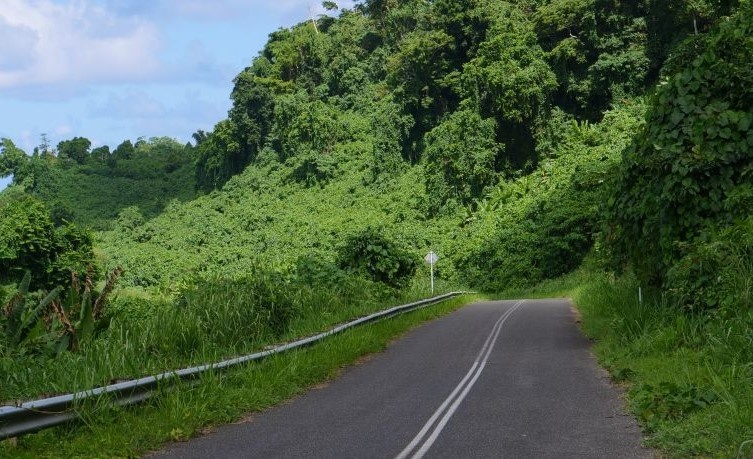 thiệt mạng vì Google Maps ảnh 1 thiet mang vi Google Maps anh 1