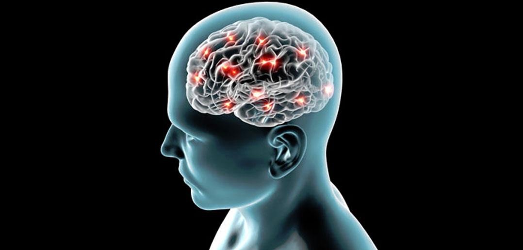 Khoa hoc chung minh: Mui cang hoi, nho cang lau hinh anh