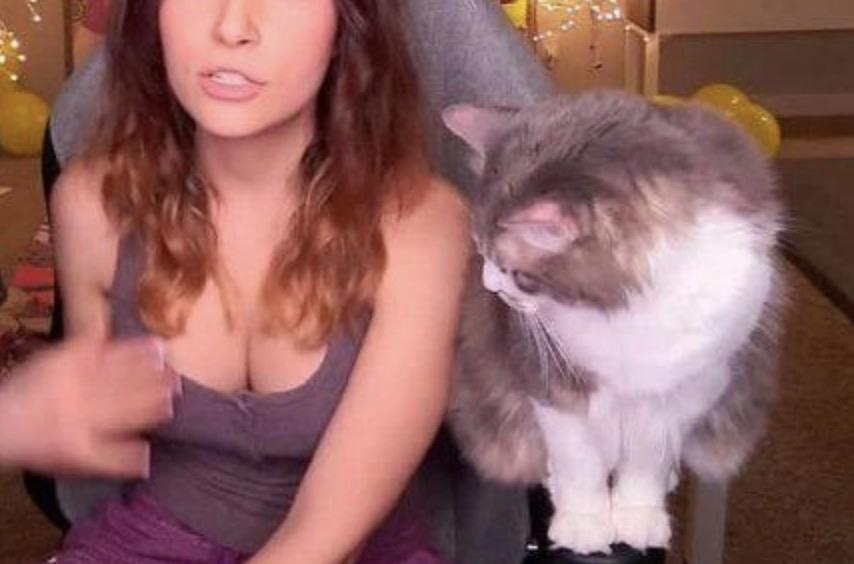 Co gai lo anh nong qua Messenger chi vi mot con meo hinh anh