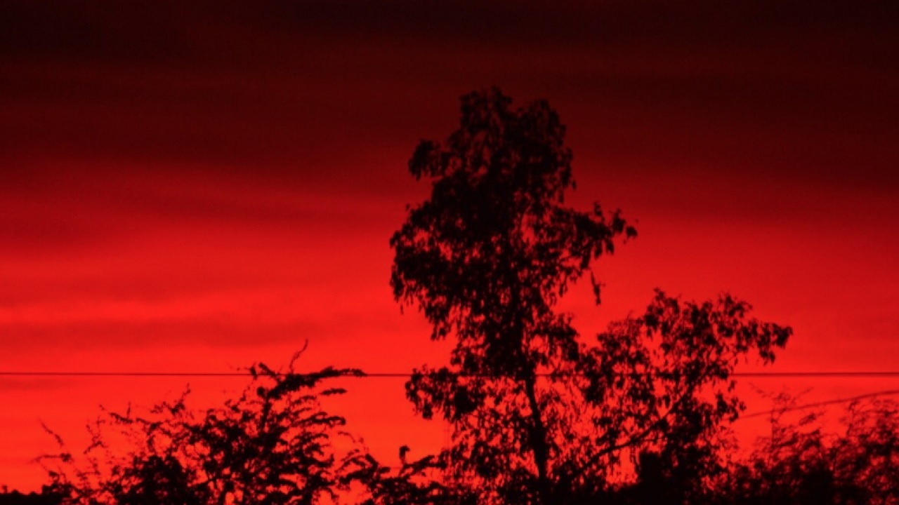 bau troi do Indonesia anh 5