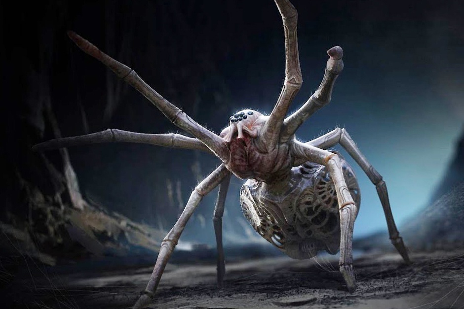 Dieu gi xay ra neu loai nhen co kich thuoc bang con nguoi? hinh anh