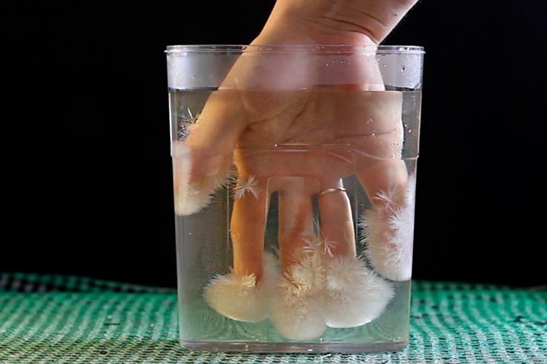 Se ra sao neu Trai Dat chi toan bang nong? hinh anh