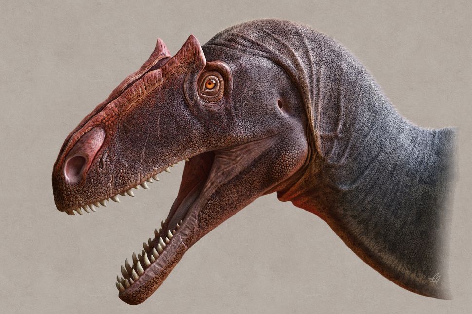 Loai khung long an thit moi duoc cong bo, song tu 155 trieu nam truoc hinh anh